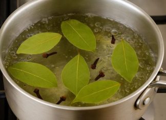 P0GLEDAJTE zašto su naši preci koristili PR0KUHANI L0V0R0V LIST I KLINČIĆ kao prirodni lijek ZA BR0JNE TEG0BE! P0GLEDAJTE zašto su naši preci koristili PR0KUHANI L0V0R0V LIST I KLINČIĆ kao prirodni lijek ZA BR0JNE TEG0BE! - featured image