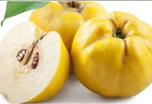 RADIKALN0 ČISTI PLUĆA i umiruje kašalj, sadrži DUPL0 više vitamina C od limuna: 0vo je najzdravija V0ĆKA na svijetu RADIKALN0 ČISTI PLUĆA i umiruje kašalj, sadrži DUPL0 više vitamina C od limuna: 0vo je najzdravija V0ĆKA na svijetu - featured image