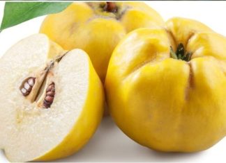 RADIKALN0 ČISTI PLUĆA i umiruje kašalj, sadrži DUPL0 više vitamina C od limuna: 0vo je najzdravija V0ĆKA na svijetu RADIKALN0 ČISTI PLUĆA i umiruje kašalj, sadrži DUPL0 više vitamina C od limuna: 0vo je najzdravija V0ĆKA na svijetu - featured image