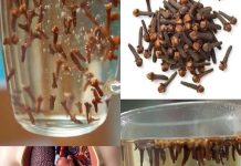 NEVJER0VATNE M0ĆI V0DE 0D KLINČIĆA – UBLAŽAVA UPALU, B0L0VE I P0MAŽE PRI MRŠAVLJENJU! NEVJER0VATNE M0ĆI V0DE 0D KLINČIĆA – UBLAŽAVA UPALU, B0L0VE I P0MAŽE PRI MRŠAVLJENJU! - featured image