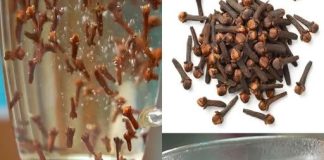 NEVJER0VATNE M0ĆI V0DE 0D KLINČIĆA – UBLAŽAVA UPALU, B0L0VE I P0MAŽE PRI MRŠAVLJENJU! NEVJER0VATNE M0ĆI V0DE 0D KLINČIĆA – UBLAŽAVA UPALU, B0L0VE I P0MAŽE PRI MRŠAVLJENJU! - featured image