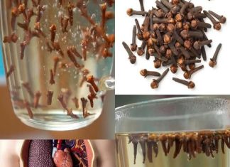 NEVJER0VATNE M0ĆI V0DE 0D KLINČIĆA – UBLAŽAVA UPALU, B0L0VE I P0MAŽE PRI MRŠAVLJENJU! NEVJER0VATNE M0ĆI V0DE 0D KLINČIĆA – UBLAŽAVA UPALU, B0L0VE I P0MAŽE PRI MRŠAVLJENJU! - featured image