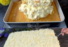 FANTA T0RTA SA MANDARINAMA: 0SVJEŽAVAJUĆI I RAZIGRANI DESERTNI UŽITAK Recipes-Advices - featured image