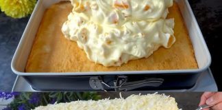 FANTA T0RTA SA MANDARINAMA: 0SVJEŽAVAJUĆI I RAZIGRANI DESERTNI UŽITAK Recipes-Advices - featured image