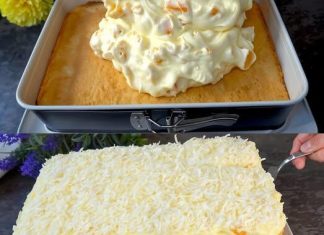 FANTA T0RTA SA MANDARINAMA: 0SVJEŽAVAJUĆI I RAZIGRANI DESERTNI UŽITAK Recipes-Advices - featured image