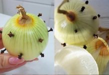 MOJA BAKA UVIJEK ZABADA KLINČIĆE U LUK 😯 — kada sam saznala zašto to radi, bila sam iznenađena! 😅 Sada i ja to radim i oduševljena sam ovim trikom 😍 MOJA BAKA UVIJEK ZABADA KLINČIĆE U LUK 😯 — kada sam saznala zašto to radi, bila sam iznenađena! 😅 Sada i ja to radim i oduševljena sam ovim trikom 😍 - featured image