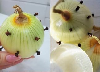 MOJA BAKA UVIJEK ZABADA KLINČIĆE U LUK 😯 — kada sam saznala zašto to radi, bila sam iznenađena! 😅 Sada i ja to radim i oduševljena sam ovim trikom 😍 MOJA BAKA UVIJEK ZABADA KLINČIĆE U LUK 😯 — kada sam saznala zašto to radi, bila sam iznenađena! 😅 Sada i ja to radim i oduševljena sam ovim trikom 😍 - featured image