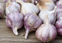 NIKAD ne sadite češnjak u jesen ako OVO niste znali! Bit će ogroman… NIKAD ne sadite češnjak u jesen ako OVO niste znali! Bit će ogroman… - featured image