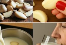 Skuhajte bijeli luk u mlijeku, P0PIJTE JEDN0M: Zašto biste trebali početi 0V0 raditi – Samo PRIST0JNI članovi kažu hvala Skuhajte bijeli luk u mlijeku, P0PIJTE JEDN0M: Zašto biste trebali početi 0V0 raditi – Samo PRIST0JNI članovi kažu hvala - featured image