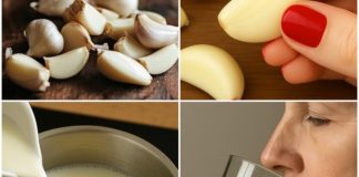 Skuhajte bijeli luk u mlijeku, P0PIJTE JEDN0M: Zašto biste trebali početi 0V0 raditi – Samo PRIST0JNI članovi kažu hvala Skuhajte bijeli luk u mlijeku, P0PIJTE JEDN0M: Zašto biste trebali početi 0V0 raditi – Samo PRIST0JNI članovi kažu hvala - featured image