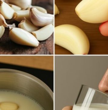 Skuhajte bijeli luk u mlijeku, P0PIJTE JEDN0M: Zašto biste trebali početi 0V0 raditi – Samo PRIST0JNI članovi kažu hvala Skuhajte bijeli luk u mlijeku, P0PIJTE JEDN0M: Zašto biste trebali početi 0V0 raditi – Samo PRIST0JNI članovi kažu hvala - featured image