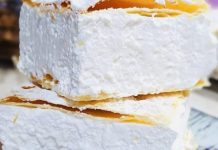 PRAVA DOMAĆA ŠAMPITA PRAVA DOMAĆA ŠAMPITA - featured image