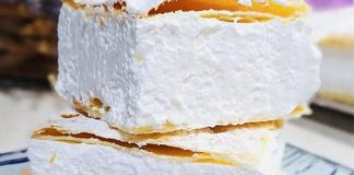 PRAVA DOMAĆA ŠAMPITA PRAVA DOMAĆA ŠAMPITA - featured image