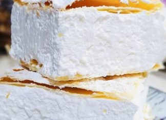 PRAVA DOMAĆA ŠAMPITA PRAVA DOMAĆA ŠAMPITA - featured image