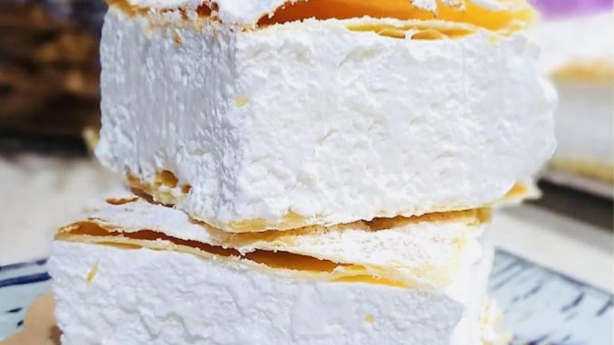 PRAVA DOMAĆA ŠAMPITA - featured image PRAVA DOMAĆA ŠAMPITA - featured image