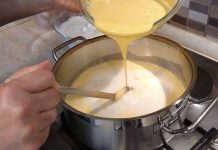 ORIGINAL KREMA ZA KREMPITU…RECEPT KOJI JE POKUPILA MOJA PRIJATELJICA IZ JEDNOG VRHUNSKOG RESTORANA ORIGINAL KREMA ZA KREMPITU…RECEPT KOJI JE POKUPILA MOJA PRIJATELJICA IZ JEDNOG VRHUNSKOG RESTORANA - featured image