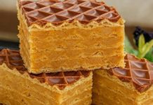 NAJUKUSNIJE OBLATNE SA PLAZMOM KOJE SVI VOLE: TOPLO IH PREPORUČUJEM… NAJUKUSNIJE OBLATNE SA PLAZMOM KOJE SVI VOLE: TOPLO IH PREPORUČUJEM… - featured image