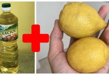 Svekrva mi je savjetovala da pomiješam limun sa običnim uljem: To je savršen kućni TRIK, koristim ga svaki dan! Svekrva mi je savjetovala da pomiješam limun sa običnim uljem: To je savršen kućni TRIK, koristim ga svaki dan! - featured image