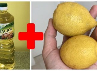 Svekrva mi je savjetovala da pomiješam limun sa običnim uljem: To je savršen kućni TRIK, koristim ga svaki dan! Svekrva mi je savjetovala da pomiješam limun sa običnim uljem: To je savršen kućni TRIK, koristim ga svaki dan! - featured image