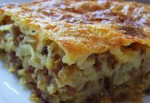 Ne mogu vam opisati koliko me oduševila ova jednostavna pita, ODUŠEVILA JE SVE MOJE GOSTE… Ne mogu vam opisati koliko me oduševila ova jednostavna pita, ODUŠEVILA JE SVE MOJE GOSTE… - featured image