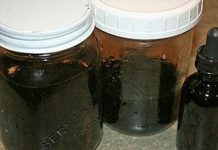 NEVJEROVATNA ŽIVOTNA PRIČA: “Ova biljka me spasila od raka – uništila je maligne ćelije za kratko vrijeme, a evo kako se pravi” NEVJEROVATNA ŽIVOTNA PRIČA: “Ova biljka me spasila od raka – uništila je maligne ćelije za kratko vrijeme, a evo kako se pravi” - featured image