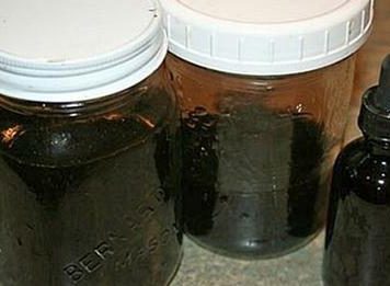 NEVJEROVATNA ŽIVOTNA PRIČA: “Ova biljka me spasila od raka – uništila je maligne ćelije za kratko vrijeme, a evo kako se pravi” NEVJEROVATNA ŽIVOTNA PRIČA: “Ova biljka me spasila od raka – uništila je maligne ćelije za kratko vrijeme, a evo kako se pravi” - featured image