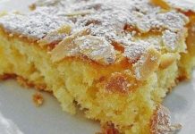 Pita od jabuka sa pudingom od vanile za 10 minuta – pravi bakin recept koji morate probati! Pita od jabuka sa pudingom od vanile za 10 minuta – pravi bakin recept koji morate probati! - featured image