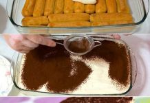 NEUOBIČAJNI TIRAMISU…Postoji tajni sastojak koji će iznenaditi vaše goste… NEUOBIČAJNI TIRAMISU…Postoji tajni sastojak koji će iznenaditi vaše goste… - featured image