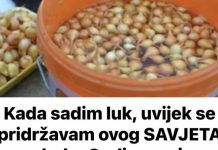 Kada sadim luk, uvijek se pridržavam Ovog SAVJETA mog dede: Godinama imam takav rod da mu se i komšije dive! Kada sadim luk, uvijek se pridržavam Ovog SAVJETA mog dede: Godinama imam takav rod da mu se i komšije dive! - featured image