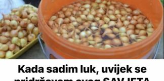 Kada sadim luk, uvijek se pridržavam Ovog SAVJETA mog dede: Godinama imam takav rod da mu se i komšije dive! Kada sadim luk, uvijek se pridržavam Ovog SAVJETA mog dede: Godinama imam takav rod da mu se i komšije dive! - featured image