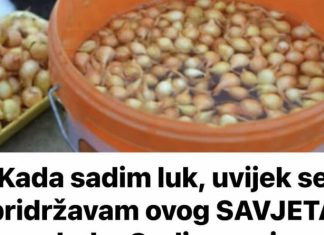 Kada sadim luk, uvijek se pridržavam Ovog SAVJETA mog dede: Godinama imam takav rod da mu se i komšije dive! Kada sadim luk, uvijek se pridržavam Ovog SAVJETA mog dede: Godinama imam takav rod da mu se i komšije dive! - featured image