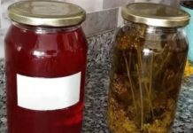 KANTARIONOVO ULJE JE PRAVI LIJEK: Šest problema koje rješava kao od šale KANTARIONOVO ULJE JE PRAVI LIJEK: Šest problema koje rješava kao od šale - featured image