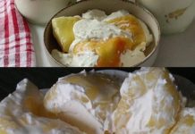 PAPRIKE U PAVLACI.. JAOOO NARODE KAKO JE OVO UKUSNOO.. MMMMM PAPRIKE U PAVLACI.. JAOOO NARODE KAKO JE OVO UKUSNOO.. MMMMM - featured image