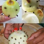 MOJA BAKA UVIJEK ZABADA KLINČIĆE U LUK 😯 — kada sam saznala zašto to radi, bila sam iznenađena! 😅 Sada i ja to radim i oduševljena sam ovim trikom 😍🌿 MOJA BAKA UVIJEK ZABADA KLINČIĆE U LUK 😯 — kada sam saznala zašto to radi, bila sam iznenađena! 😅 Sada i ja to radim i oduševljena sam ovim trikom 😍🌿 - featured image