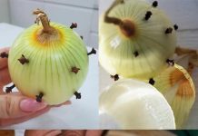 MOJA BAKA UVIJEK ZABADA KLINČIĆE U LUK 😯 — kada sam saznala zašto to radi, bila sam iznenađena! 😅 Sada i ja to radim i oduševljena sam ovim trikom 😍🌿 MOJA BAKA UVIJEK ZABADA KLINČIĆE U LUK 😯 — kada sam saznala zašto to radi, bila sam iznenađena! 😅 Sada i ja to radim i oduševljena sam ovim trikom 😍🌿 - featured image