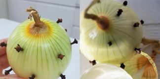 MOJA BAKA UVIJEK ZABADA KLINČIĆE U LUK 😯 — kada sam saznala zašto to radi, bila sam iznenađena! 😅 Sada i ja to radim i oduševljena sam ovim trikom 😍🌿 MOJA BAKA UVIJEK ZABADA KLINČIĆE U LUK 😯 — kada sam saznala zašto to radi, bila sam iznenađena! 😅 Sada i ja to radim i oduševljena sam ovim trikom 😍🌿 - featured image