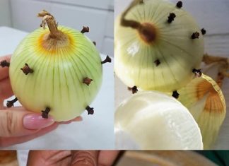 MOJA BAKA UVIJEK ZABADA KLINČIĆE U LUK 😯 — kada sam saznala zašto to radi, bila sam iznenađena! 😅 Sada i ja to radim i oduševljena sam ovim trikom 😍🌿 MOJA BAKA UVIJEK ZABADA KLINČIĆE U LUK 😯 — kada sam saznala zašto to radi, bila sam iznenađena! 😅 Sada i ja to radim i oduševljena sam ovim trikom 😍🌿 - featured image