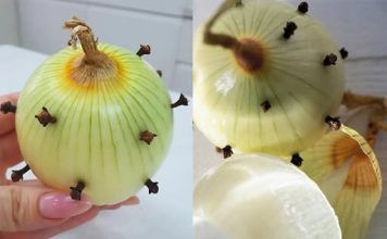 MOJA BAKA UVIJEK ZABADA KLINČIĆE U LUK 😯 — kada sam saznala zašto to radi, bila sam iznenađena! 😅 Sada i ja to radim i oduševljena sam ovim trikom 😍🌿 MOJA BAKA UVIJEK ZABADA KLINČIĆE U LUK 😯 — kada sam saznala zašto to radi, bila sam iznenađena! 😅 Sada i ja to radim i oduševljena sam ovim trikom 😍🌿 - featured image