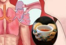 ISPRALA JE KATRAN SA PLUĆA ZA SAMO 72 SATA I DOKTORI SU BILI U ČUDU: Ovaj napitak čisti organizam! ISPRALA JE KATRAN SA PLUĆA ZA SAMO 72 SATA I DOKTORI SU BILI U ČUDU: Ovaj napitak čisti organizam! - featured image