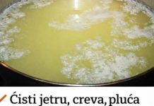 NAJBOLJI PRIRODNI PROBIOTIK:Čisti jetru,creva,pluća i topi višak kilograma! NAJBOLJI PRIRODNI PROBIOTIK:Čisti jetru,creva,pluća i topi višak kilograma! - featured image