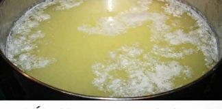 NAJBOLJI PRIRODNI PROBIOTIK:Čisti jetru,creva,pluća i topi višak kilograma! NAJBOLJI PRIRODNI PROBIOTIK:Čisti jetru,creva,pluća i topi višak kilograma! - featured image