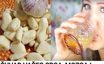 Čuvar vašeg srca , mozga i bubrega: Očistite arterije ovim snažnim napitkom koji poboljšava cirkulaciju i smanjuje krvni pritisak Čuvar vašeg srca , mozga i bubrega: Očistite arterije ovim snažnim napitkom koji poboljšava cirkulaciju i smanjuje krvni pritisak - featured image