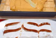 KARAMEL KOLAČ BEZ PEČENJA: Brz i ukusan desert! KARAMEL KOLAČ BEZ PEČENJA: Brz i ukusan desert! - featured image