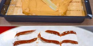 KARAMEL KOLAČ BEZ PEČENJA: Brz i ukusan desert! KARAMEL KOLAČ BEZ PEČENJA: Brz i ukusan desert! - featured image