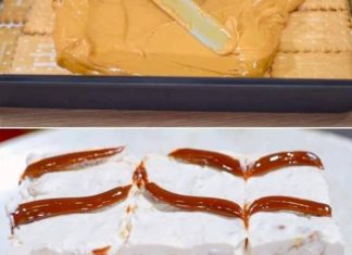 KARAMEL KOLAČ BEZ PEČENJA: Brz i ukusan desert! KARAMEL KOLAČ BEZ PEČENJA: Brz i ukusan desert! - featured image