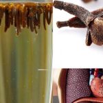 VODA OD KLINČIĆA – TAJNA MOĆ KOJU MALO KO ZNA! osvježava, čisti i jača organizam na prirodan način. VODA OD KLINČIĆA – TAJNA MOĆ KOJU MALO KO ZNA! osvježava, čisti i jača organizam na prirodan način. - featured image