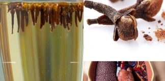 VODA OD KLINČIĆA – TAJNA MOĆ KOJU MALO KO ZNA! osvježava, čisti i jača organizam na prirodan način. VODA OD KLINČIĆA – TAJNA MOĆ KOJU MALO KO ZNA! osvježava, čisti i jača organizam na prirodan način. - featured image