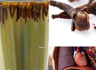 VODA OD KLINČIĆA – TAJNA MOĆ KOJU MALO KO ZNA! osvježava, čisti i jača organizam na prirodan način. VODA OD KLINČIĆA – TAJNA MOĆ KOJU MALO KO ZNA! osvježava, čisti i jača organizam na prirodan način. - featured image