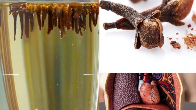 VODA OD KLINČIĆA – TAJNA MOĆ KOJU MALO KO ZNA! osvježava, čisti i jača organizam na prirodan način. - featured image VODA OD KLINČIĆA – TAJNA MOĆ KOJU MALO KO ZNA! osvježava, čisti i jača organizam na prirodan način. - featured image