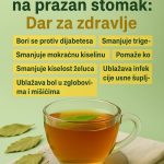 Čaj od lovorovog lista: Jednostavan jutarnji ritual za prirodno zdravlje Čaj od lovorovog lista: Jednostavan jutarnji ritual za prirodno zdravlje - featured image